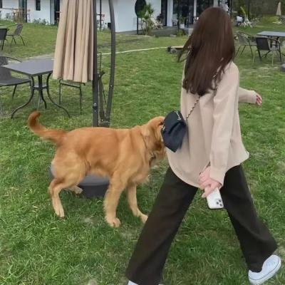 迷航昆仑墟